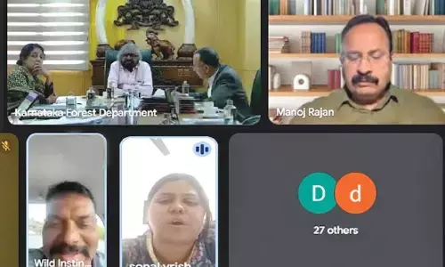 Elephant Safari proposal to curb human-animal conflict, discussions with locals soon