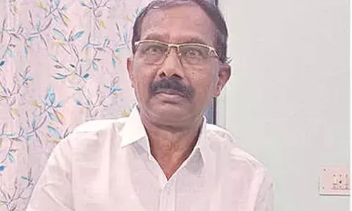 Govt to procure tomatoes at Rs 8 per kg