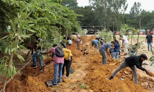 Himalaya Wellness, Say Trees, and Indian Army come together in a Collaborative Greening Initiative