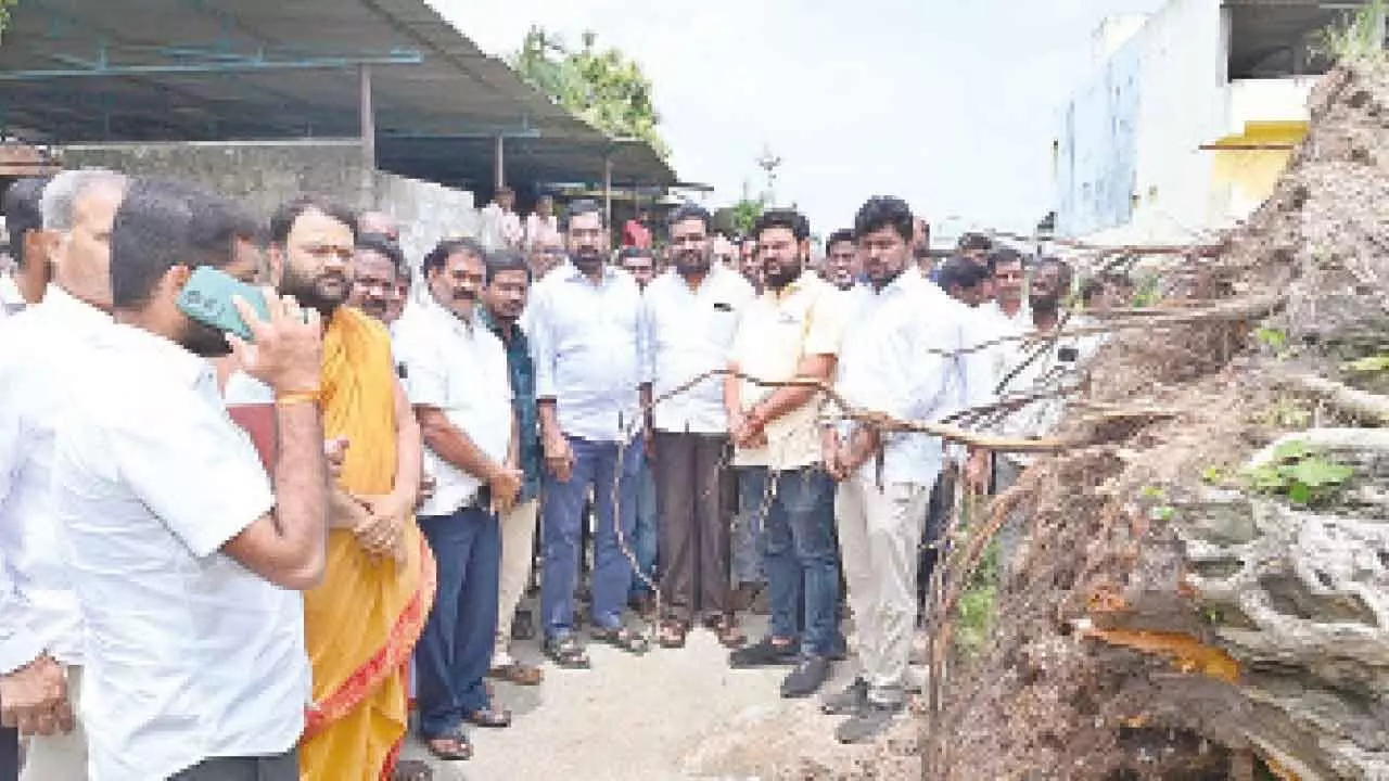 MLA inspects century-old banyan tree that has collapsed