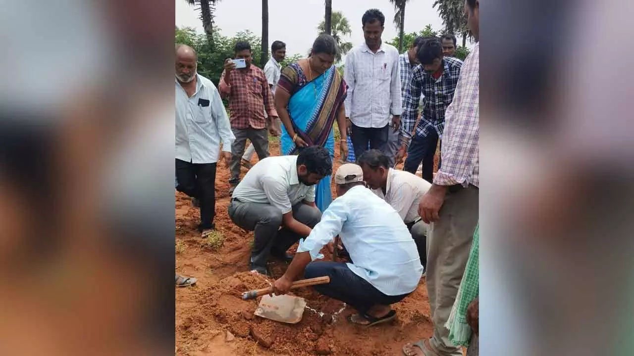 Intercropping Can Boost Farmers’ Incomes: Collector Jitesh V. Patil