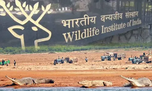 Sand mining in Godavari poses risk to dams, bridges