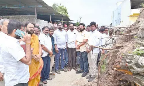 MLA inspects century-old banyan tree that has collapsed
