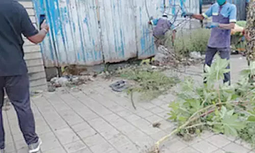 Canadian vlogger’s video prods civic authorities into action