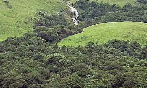 10 ‘Namo Van’ to boost green cover, combat pollution: Rekha Gupta