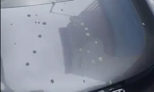 Watch: Bengaluru Commuter Slams BMRCL After Concrete Shower on Car at Silk Board Metro Station