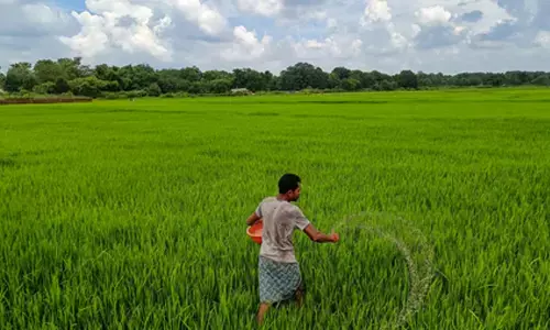 India takes lead with AI-driven forecasts to help farmers face erratic weather
