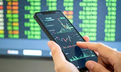 Domestic mutual funds support Indian market by 20 to 30 pc: Chris Wood