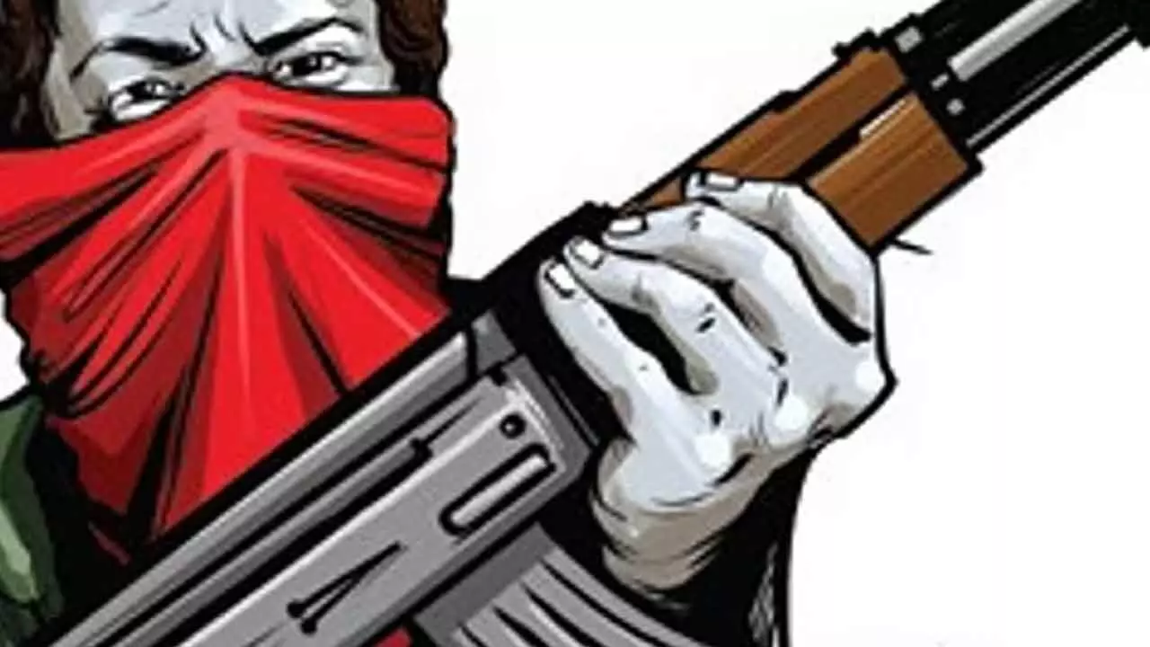 Maoist party offers to give up arms