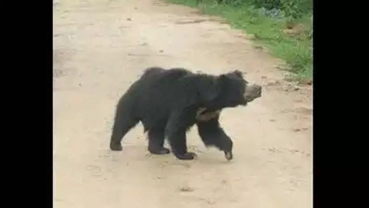 Representational Image Representational Image