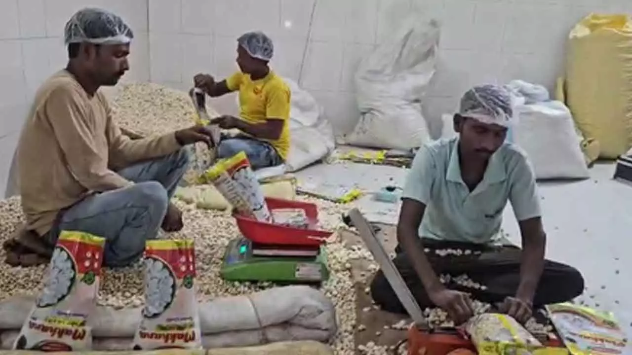 Bihar farmers extend birthday wishes to PM Modi, hail Makhana board as game-changer Bihar farmers extend birthday wishes to PM Modi, hail Makhana board as game-changer