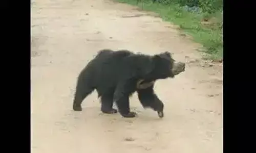 Representational Image