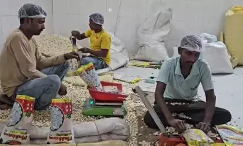 Bihar farmers extend birthday wishes to PM Modi, hail Makhana board as game-changer