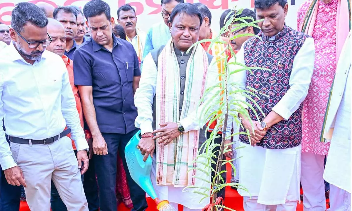 Odisha plants one cr saplings on PM’s 75th birthday