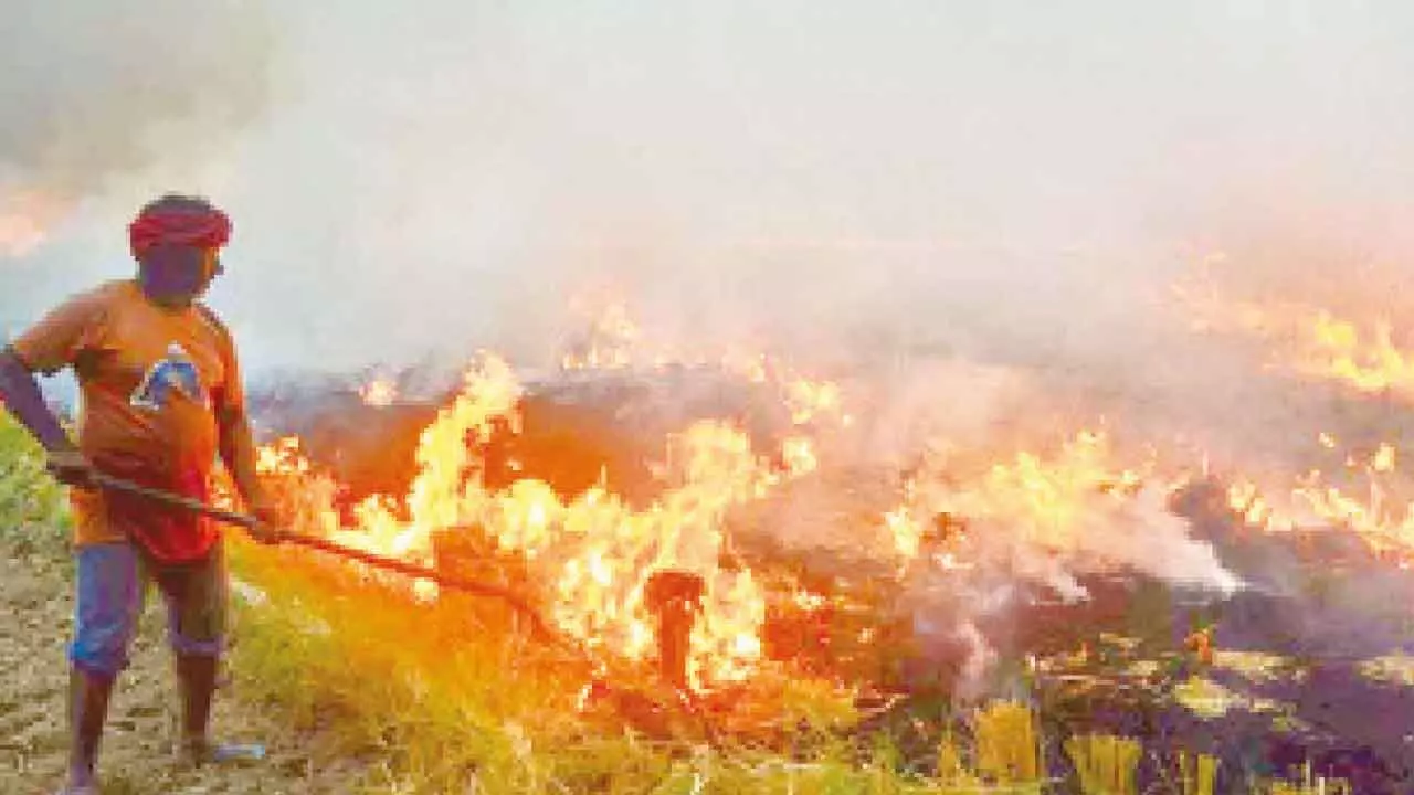 SC asks Punjab why few errant farmers shouldn’t be arrested SC asks Punjab why few errant farmers shouldn’t be arrested