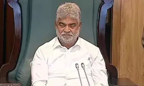 Every Assembly Speaker has a pivotal role in democracy