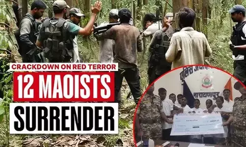 12 Maoists surrender in Chhattisgarh