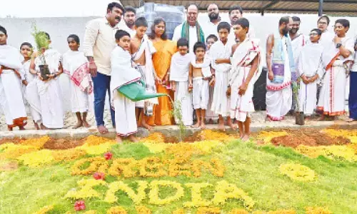 GIC launches campaign to plant ‘Jammi’ saplings across TG