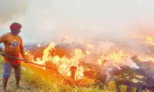 SC asks Punjab why few errant farmers shouldn’t be arrested