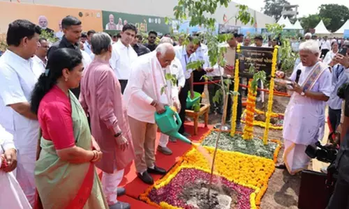 Ahmedabad pushes ahead with mission for million trees, Gujarat CM joins to plant saplings
