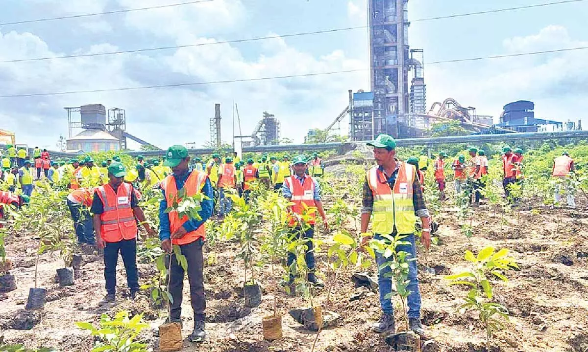 Dalmia Cement plants 30K trees