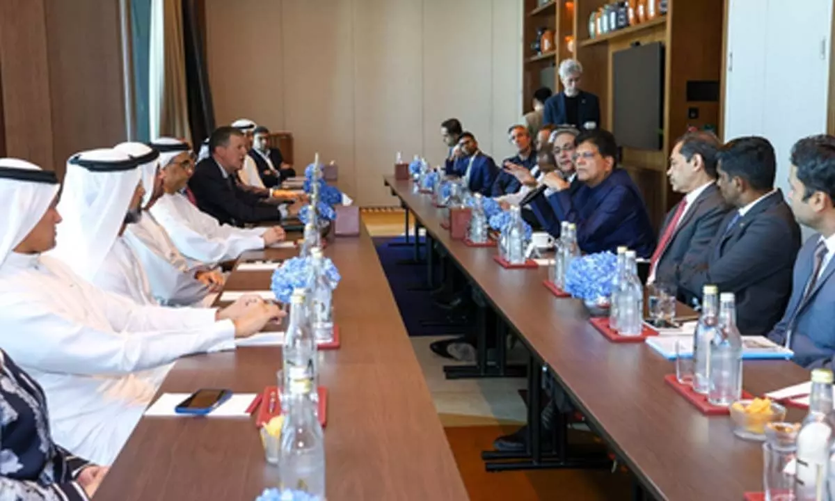 Piyush Goyal expects UAE to step up investments in India Piyush Goyal expects UAE to step up investments in India