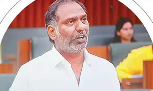 Striving to boost renewable energy, says Energy Minister