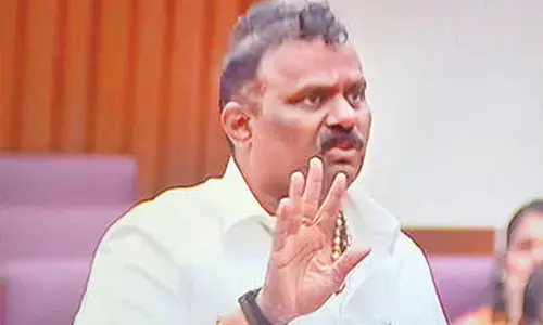 Land acquisition in Karedu is only for industrial hub: Govt