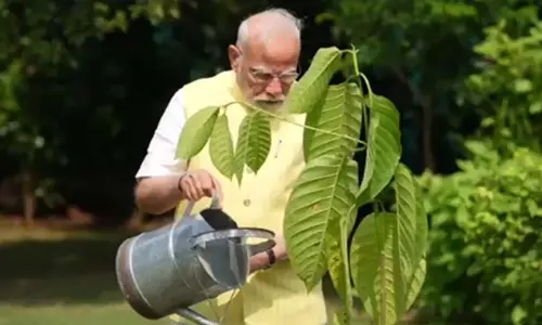 PM Modi plants Kadamb sapling gifted by King Charles at his residence