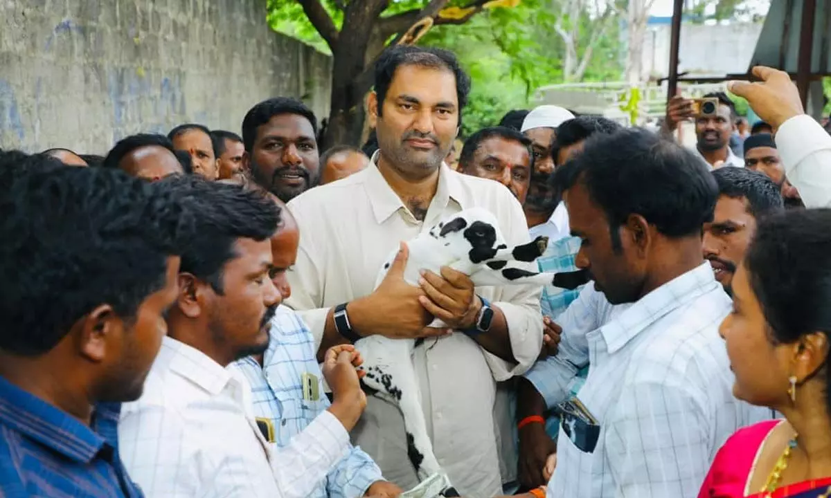 New Sheep and Goat Weekly Market Opens at Kaverammepet New Sheep and Goat Weekly Market Opens at Kaverammepet