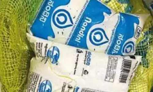 Nandini products likely to get cheaper from Navratri