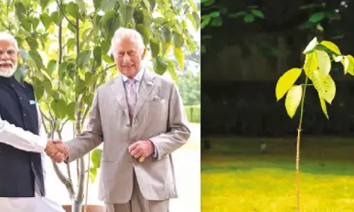 Modi plants sapling gifted by Charles King on his 75th b’day