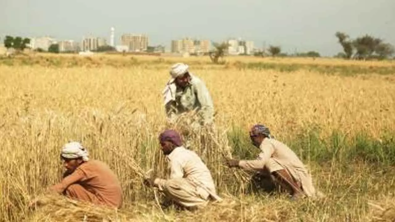 Pakistan Kissan Ittehad criticises filing of FIRs against protesting farmers in Balochistans Nasirabad Pakistan Kissan Ittehad criticises filing of FIRs against protesting farmers in Balochistans Nasirabad