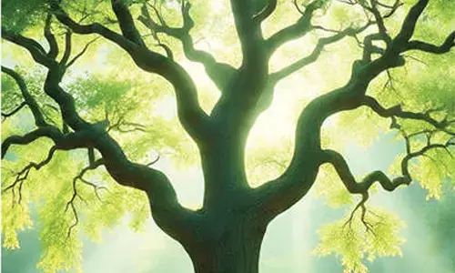 The transformative power of spiritual healing