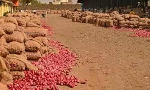 CM extending all help to onion farmers: Bharath