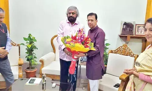 Goa seeks state’s help to capture rogue tusker