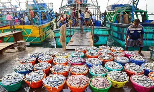Govt to hold investors meet in Lakshadweep to boost exports of tuna, seaweed