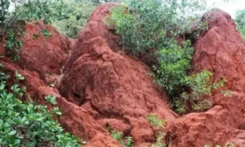 A look at India’s 7 natural heritage locations, picked up as UNESCO’s world heritage sites