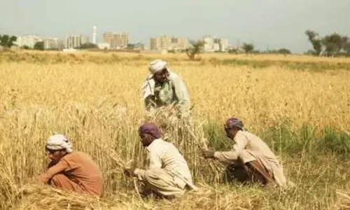 Pakistan Kissan Ittehad criticises filing of FIRs against protesting farmers in Balochistans Nasirabad