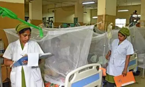Bangladesh: 12 people die of dengue, raises death toll in 2025 to 179