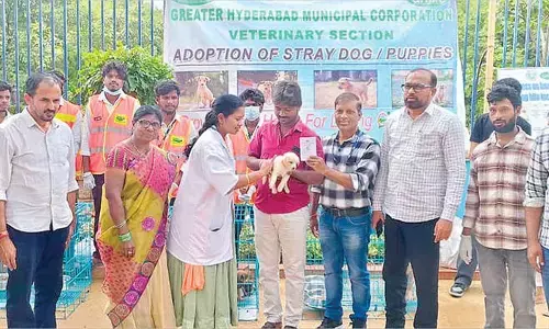 16 strays find new homes in GHMC’s adoption drive