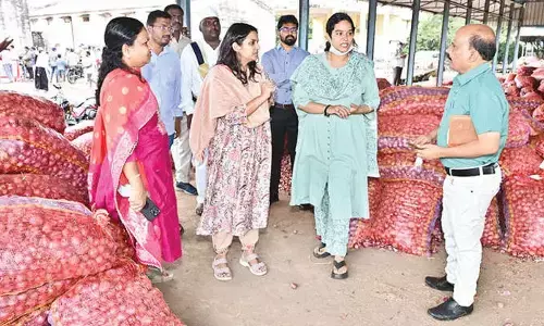 Onions at Rs 100 for 45 kg in Kurnool market yard