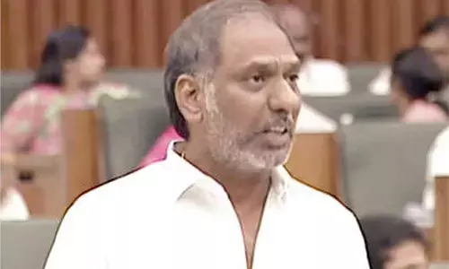 Energy minister assures steps to curb NTTPS pollution