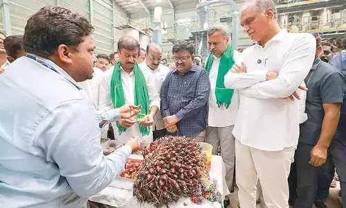 BRS sowed seed of palm oil unit; Cong reaping fruit, sulks Harish