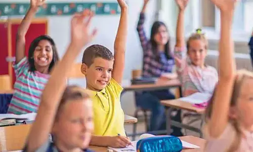 Curriculum choices for students: Building skills, confidence and a future