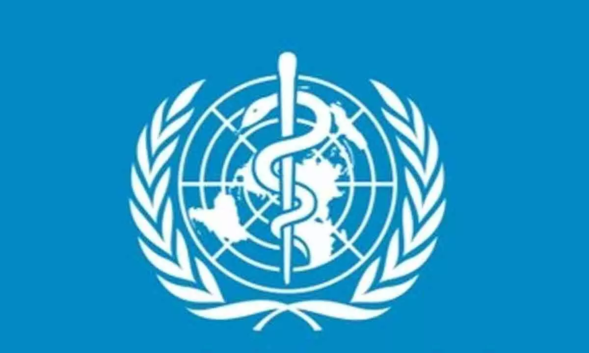 WHO refutes Trumps claim on link between autism and paracetamol use during pregnancy