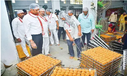 36 lakh Laddu Prasadams to meet demand