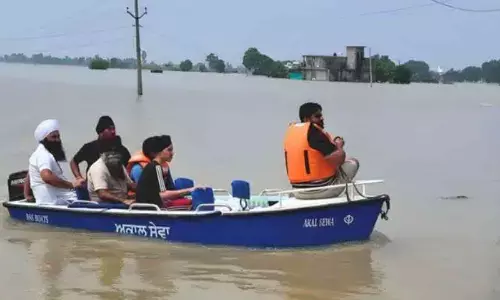 Tea Above the Floodline
