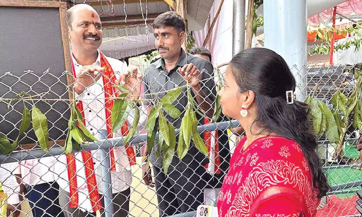 Vizianagaram MP joins devotees in queue Vizianagaram MP joins devotees in queue