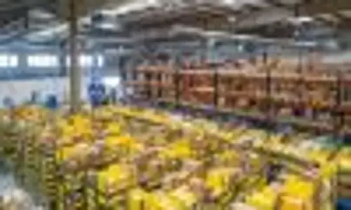 How to Choose the Best Warehouse Management System (WMS) for Your Facility?